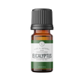 Eucalyptus Oil