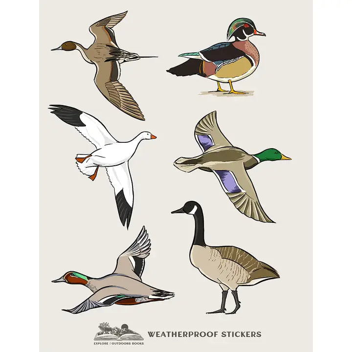 Explore the Outdoors Weatherproof Stickers