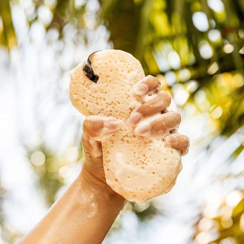 Bridgewater Sweet Grace Body Wash Sponge