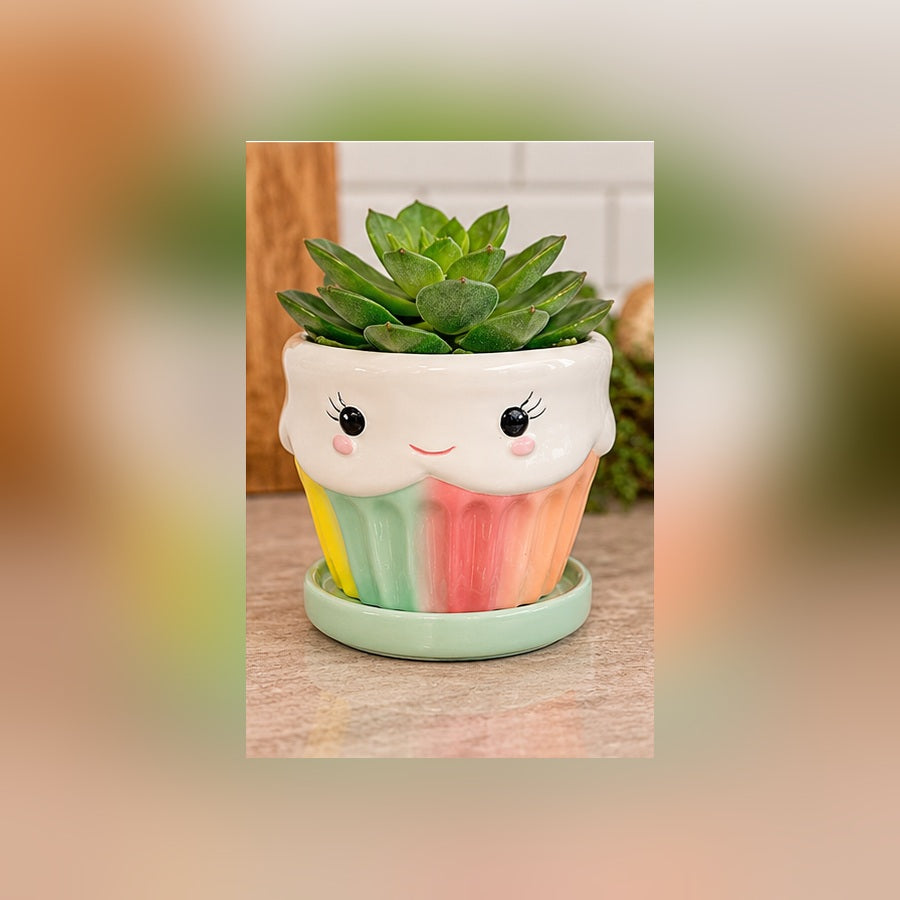 Streamline Cupcake Planter