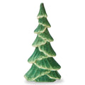 Northern Forest Tree