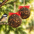 Mr. Bird Seed & Nut Ornament Bird Feeder