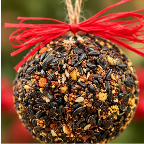 Mr. Bird Seed & Nut Ornament Bird Feeder