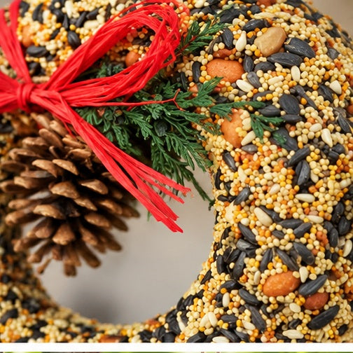 Mr. Bird Wildfeast Wreath Bird Feeder
