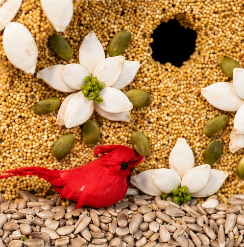 Mr. Bird Poinsettia House Bird Feeder