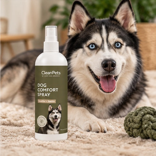 Rowe Casa Doggy Calming Spray