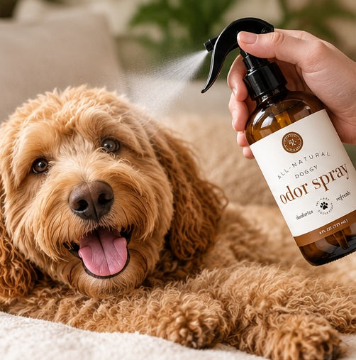 Rowe Casa Doggy Odor Spray