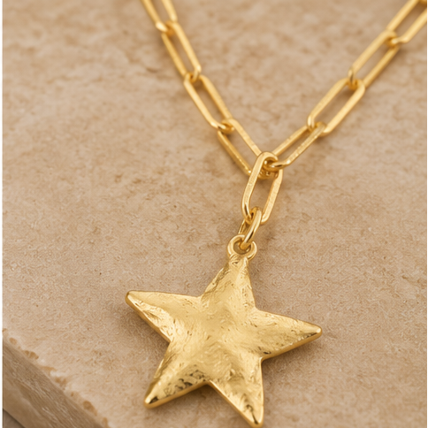 Susan Shaw Star Paperclip Necklace