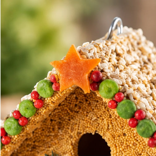 Mr. Bird Fruit Casita Bird Feeder