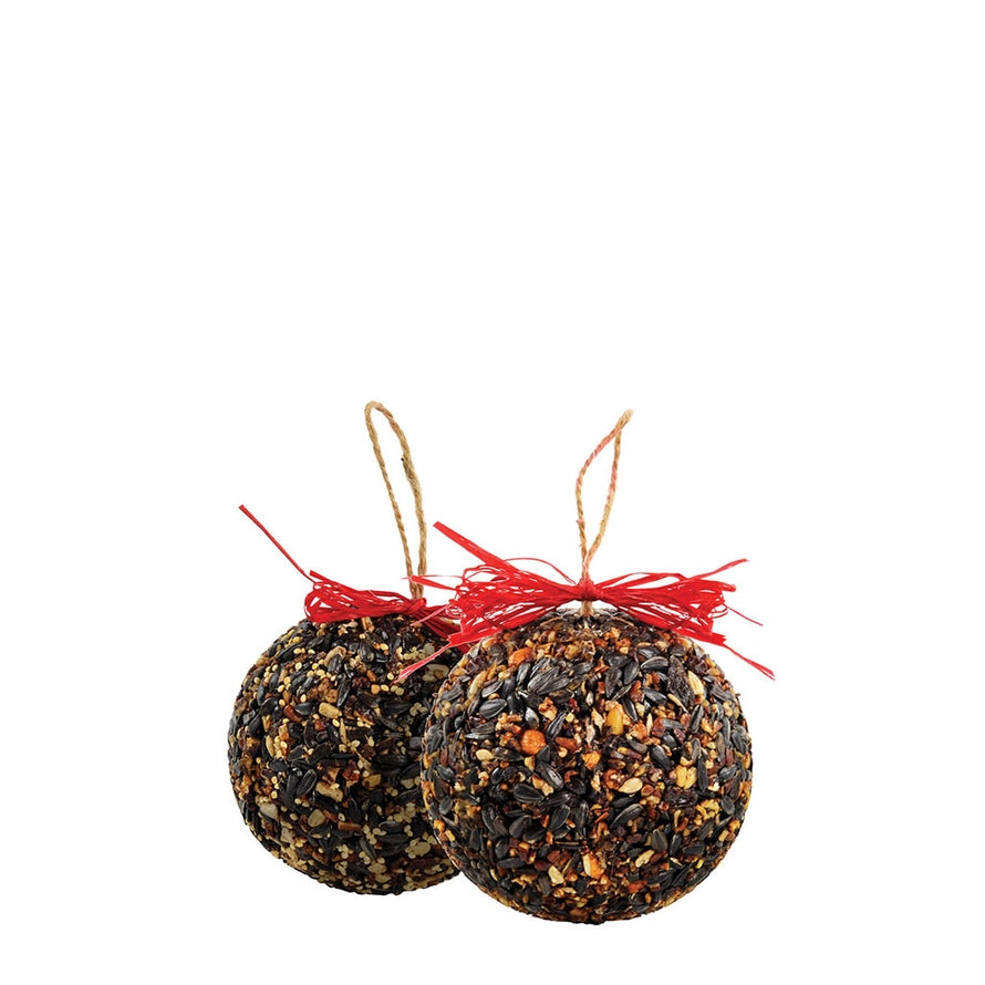 Mr. Bird Seed & Nut Ornament Bird Feeder
