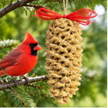 Mr. Bird Giant Pinecone Bird Feeder