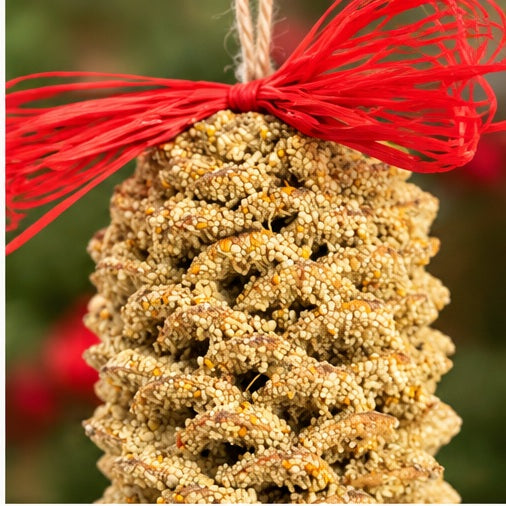 Mr. Bird Giant Pinecone Bird Feeder