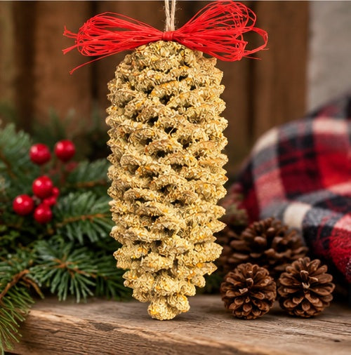 Mr. Bird Giant Pinecone Bird Feeder