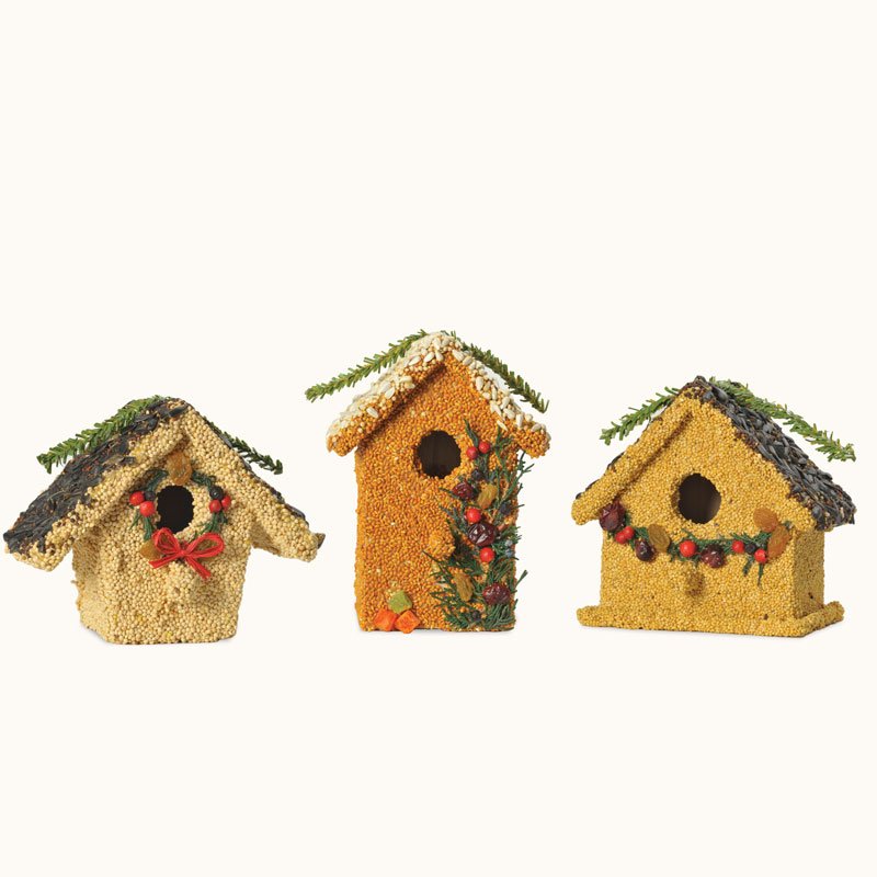 Mr. Bird Birdie Cottages