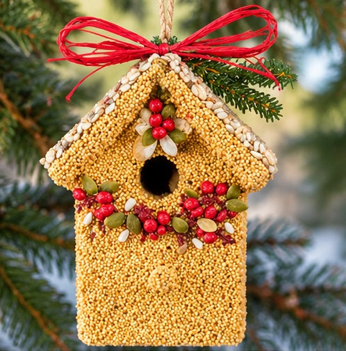 Mr. Bird Poinsettia Cottages