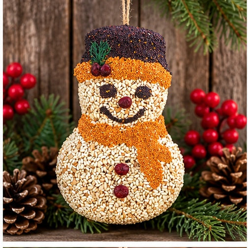 Mr. Bird Frosty Snowman Bird Feeder