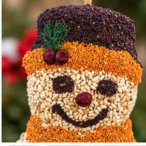 Mr. Bird Frosty Snowman Bird Feeder