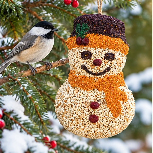 Mr. Bird Frosty Snowman Bird Feeder
