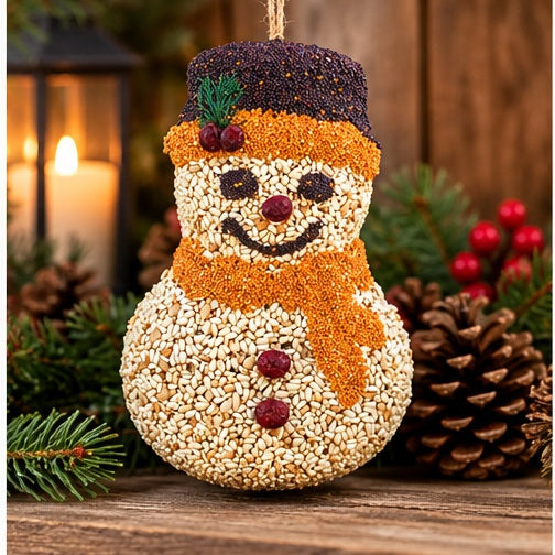 Mr. Bird Frosty Snowman Bird Feeder